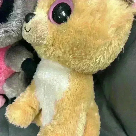 Beanie boo lot of 3 Ida Rocco and Nacho  2 with tags - Picture 4 of 7